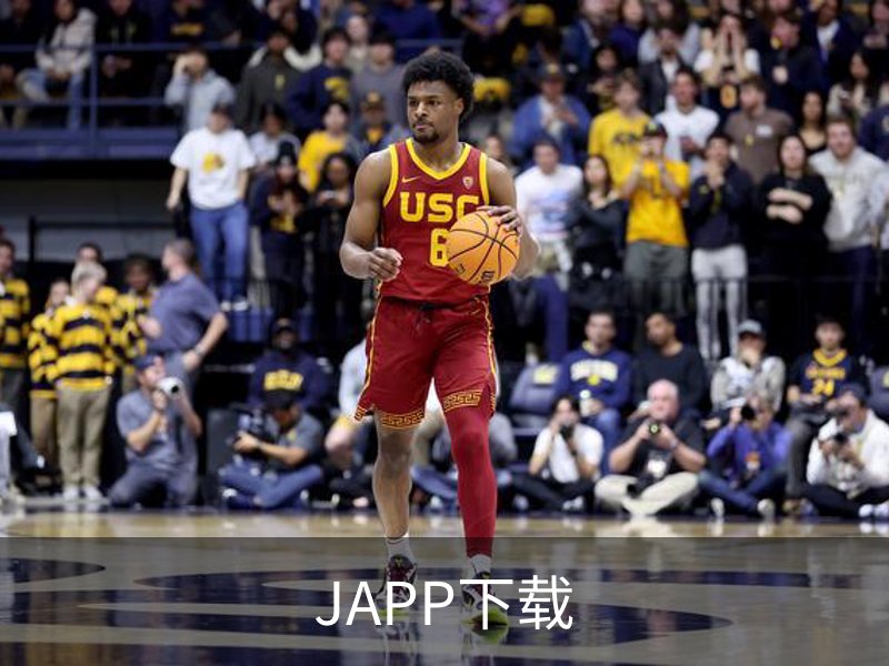 了解JAPP下载
